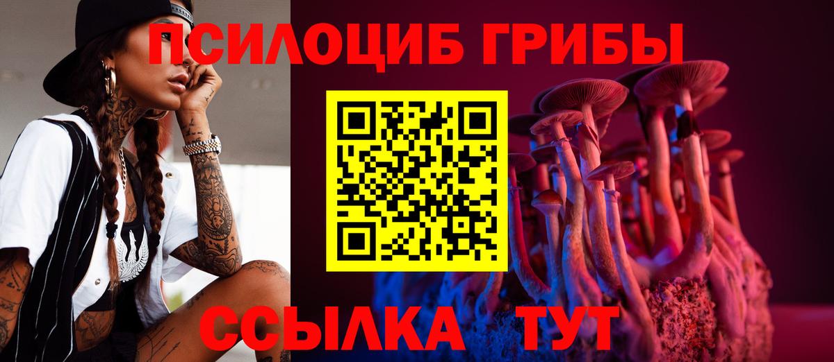 Псилоцибиновые грибы Magic Shrooms Владивосток
