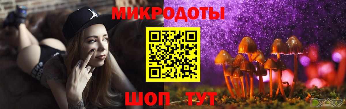 Галлюциногенные грибы Psilocybe  Псилоцибиновые грибы мицелий  Вход с VPN  Владивосток 